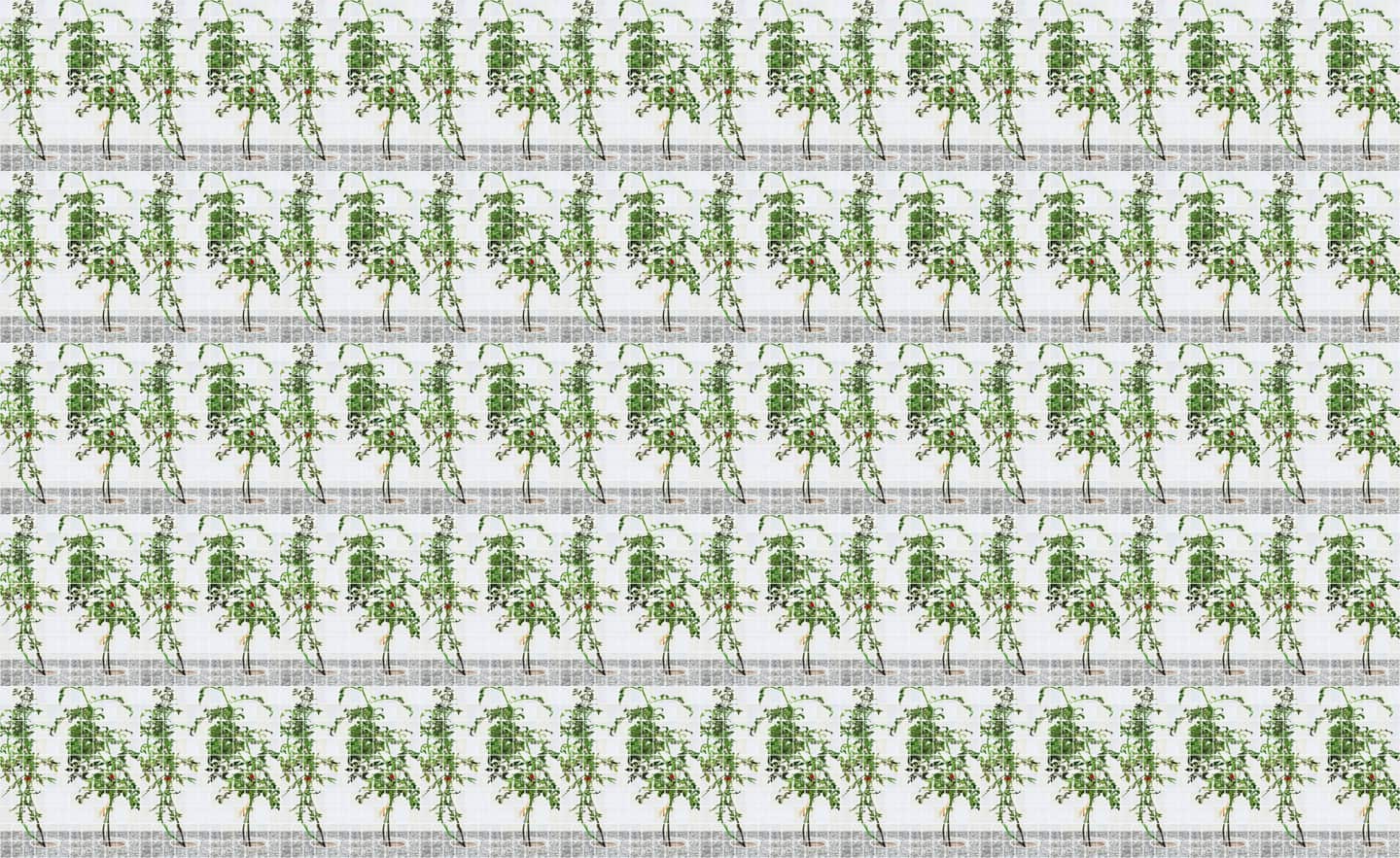 Alex Fischer, VII 6000 mockup of 6000 sheets, 2015